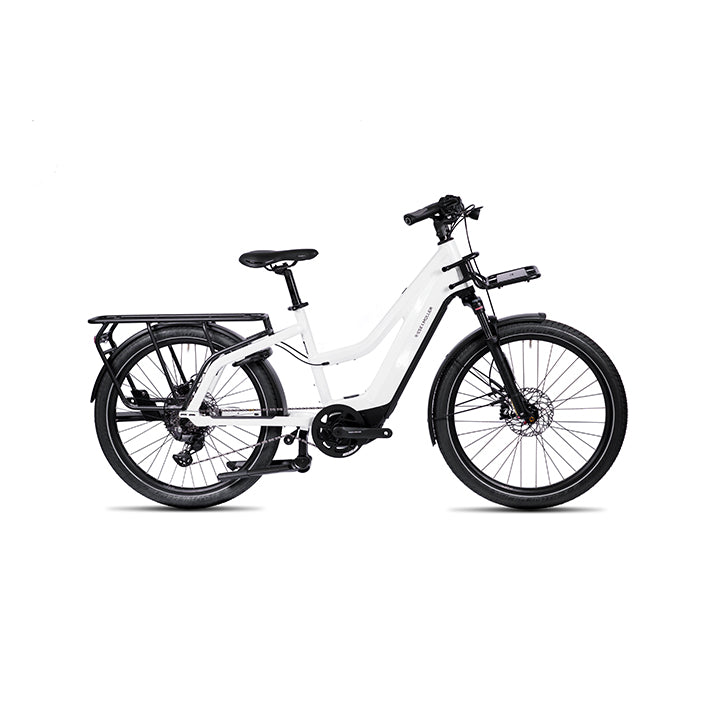 Riese & Muller Multicharger2 Mixte GT family