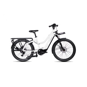 Riese & Muller Multicharger2 Mixte family